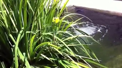 Visitors at Providence St. Joseph Medical Center