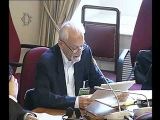 Roma - Audizioni su cooperazione allo sviluppo (16.06.15)