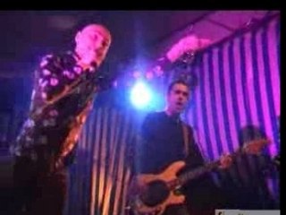 Les Fatals Picards - Bernard Lavilliers