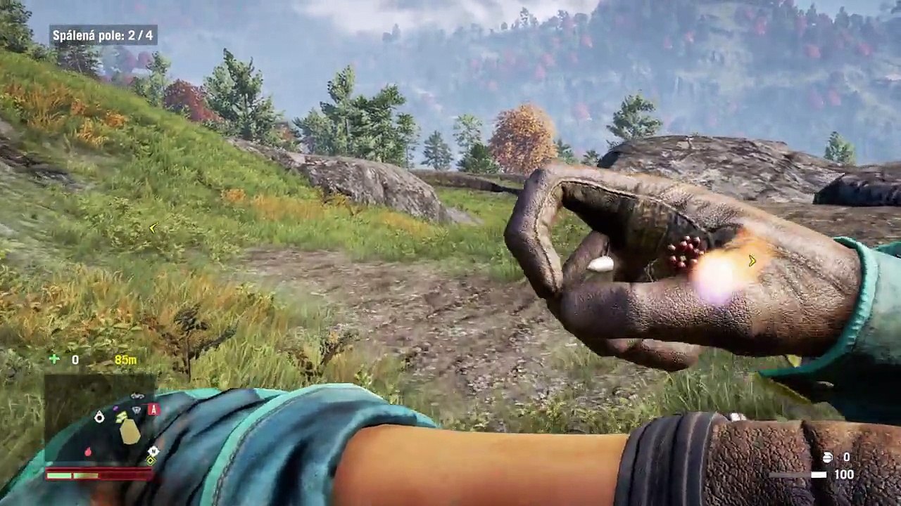 Far Cry® 4_20150616192050