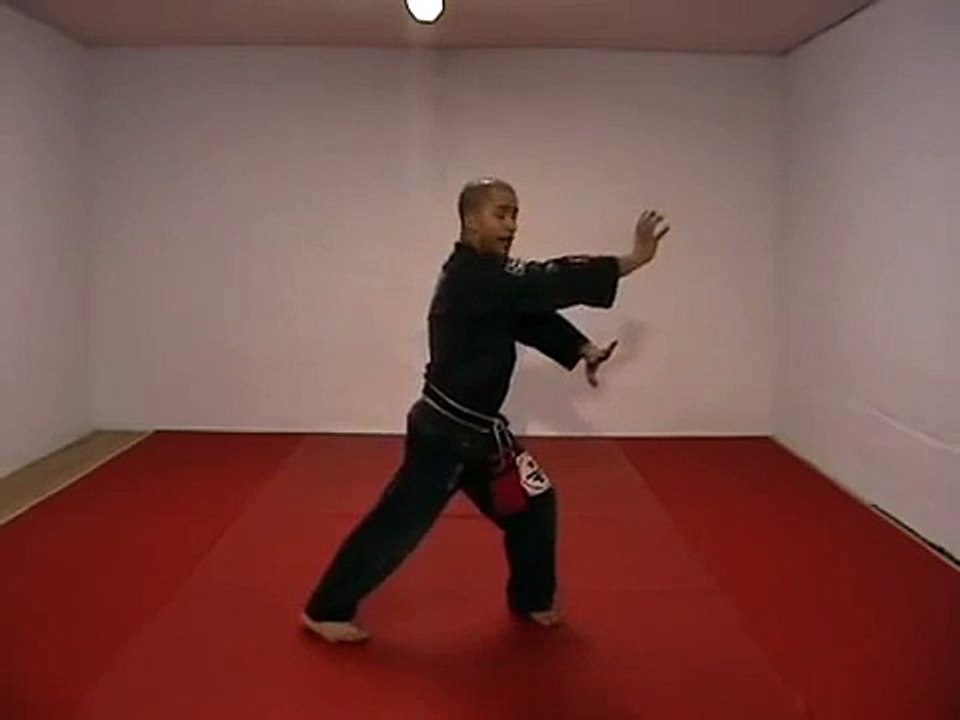 CASA DE KENPO - AMERICAN KENPO - LONG FORM 3