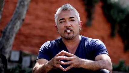 Cesar Millan PSA on Immigration Reform