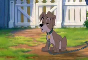 Angel and Scamp - Listen To Your Heart