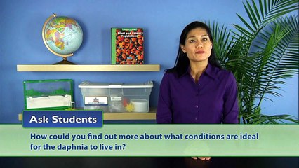 Plant and Animal Populations - Activity 9: Population Experiments