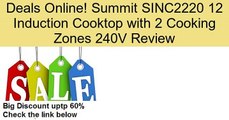 Summit Sinc2220 Induction Cooktop Cooking Video Dailymotion