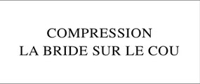 Compression La Bride sur le cou de Roger Vadim (2009) par Gérard Courant