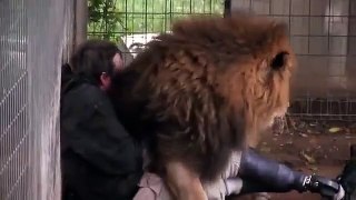 OMG!!! Man VS Lion