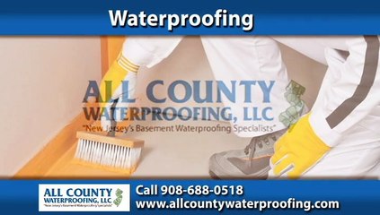 Mold Remediation Maplewood, NJ | ALL COUNTY WATERPROOFING