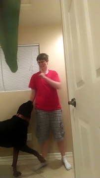 Un chien réconforte une fille pendant une violente crise d'angoisse