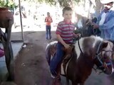 Niño Bailando un Caballo Pony.
