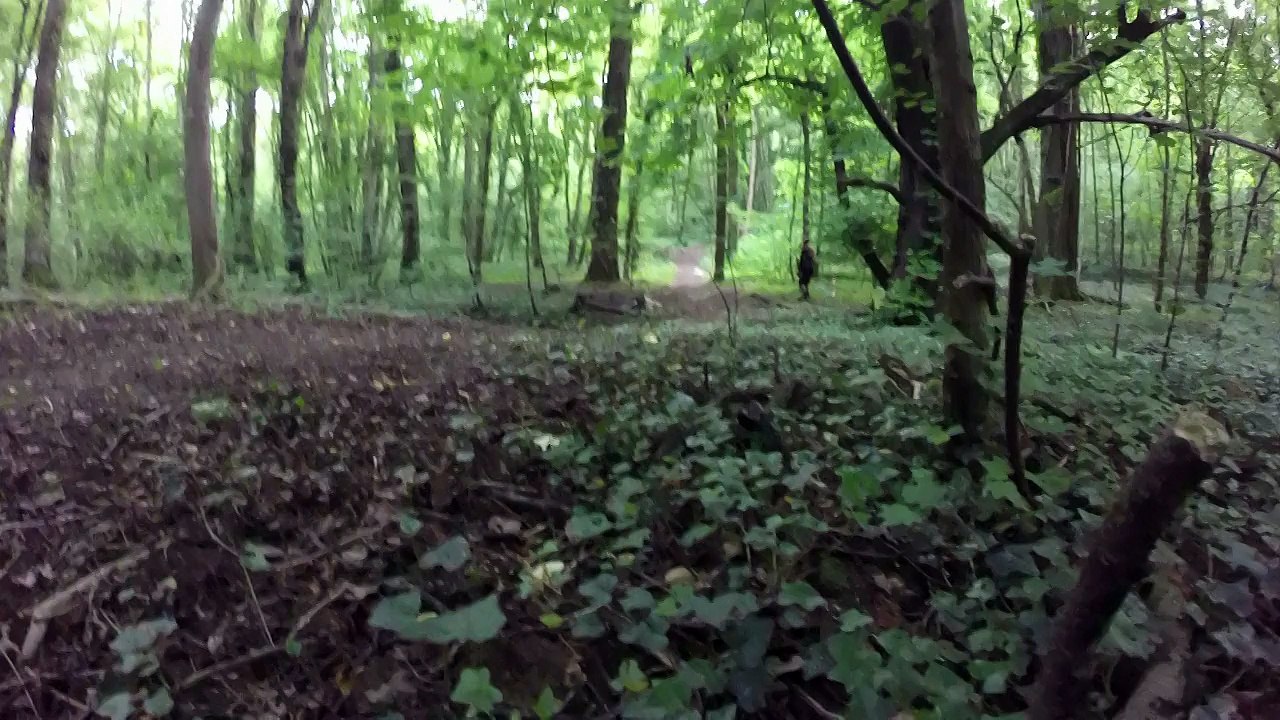 EdG_SP1_ru