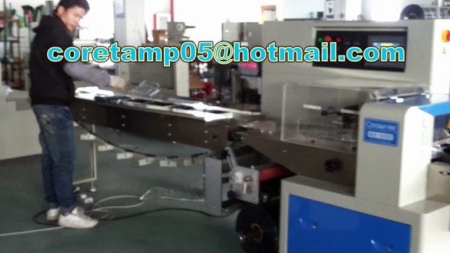Automatic pens bagging packaging machine for US client