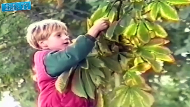 Fail Compilation 2015 Sexy Woman Funny Fail Videos 2015 Best Funny Home Videos