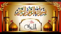 زيــارة الإمام الحسين عليه السلام بصوت الشيخ موسى الاسدي