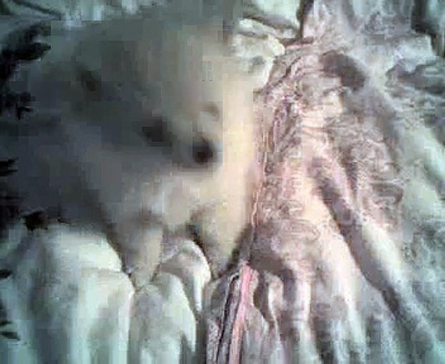 Roxie