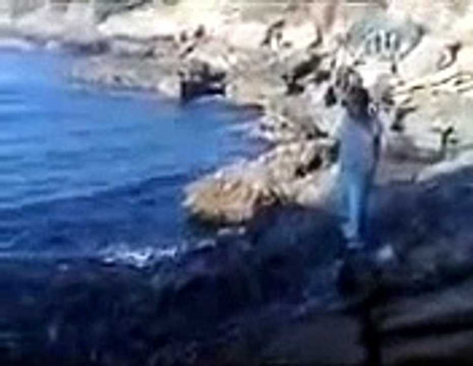 algerie humour les algerien ga3 mhabel mdrrr