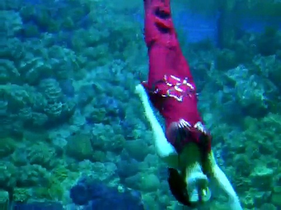 青島極地海洋世界 水族館 人魚危機一髪