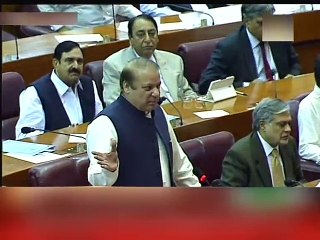 وزیراعظم نواز شریف کی اپنے بیان مکھی پر وظاحت