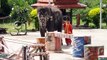 การแสดงช้างแสนรู้ โดย HolidayThai.com