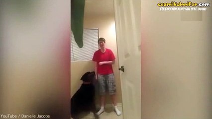 Atak Geçiren Asperger Sendromlu Çocuğun Kendine Zarar Vermesini Durdurmaya Çalışan Köpek