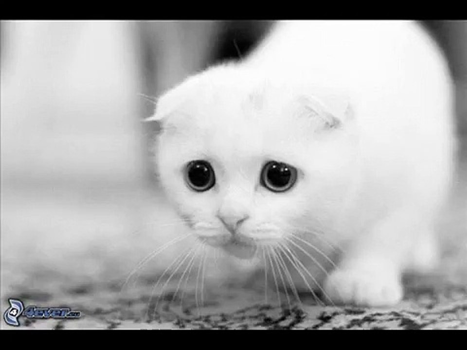 Sad Piano Instrumental Triste (Prod Med-flOw)