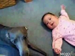 Cachorro chora junto com o bebê - muito engraçado