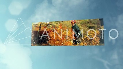 Jims Tree Removal Melbourne