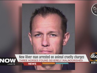 New River man arrested on animal cruelty charges
