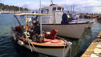 Local Greek Music from Paxos