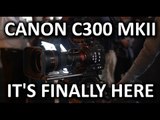 Canon EOS C300 MKII Camera - NAB Show 2015