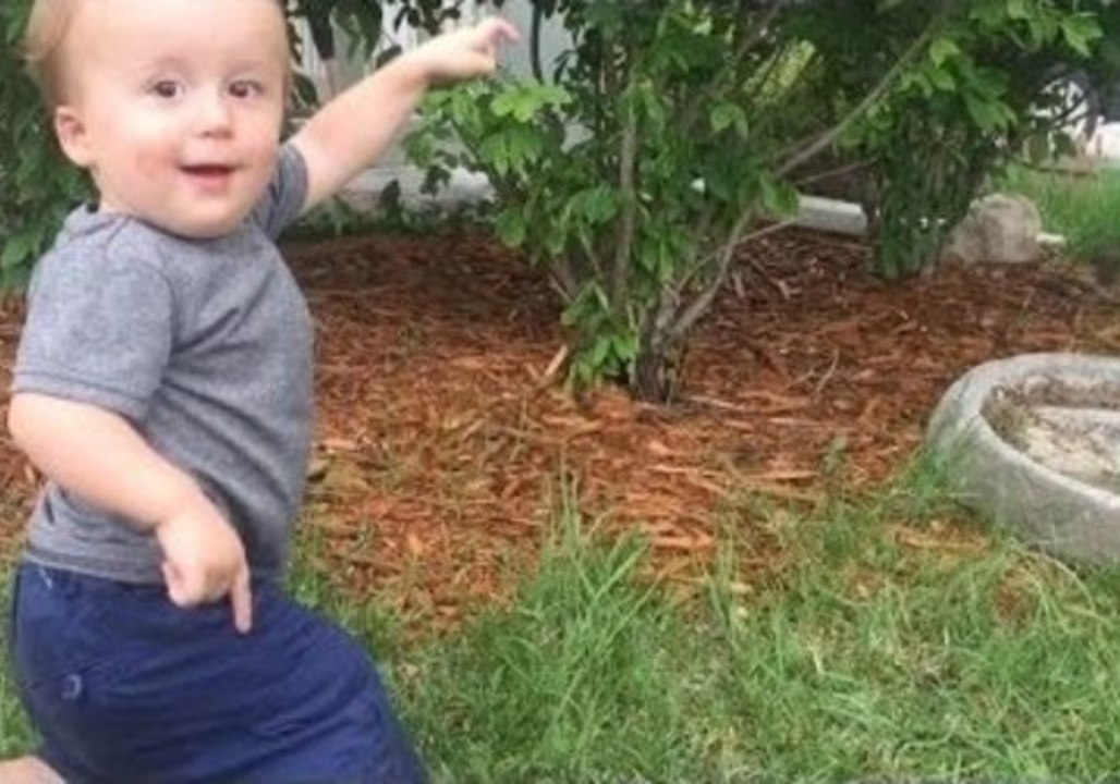 Toddler Channels Inner Doctor Dolittle While Taking Care of Injured Bird