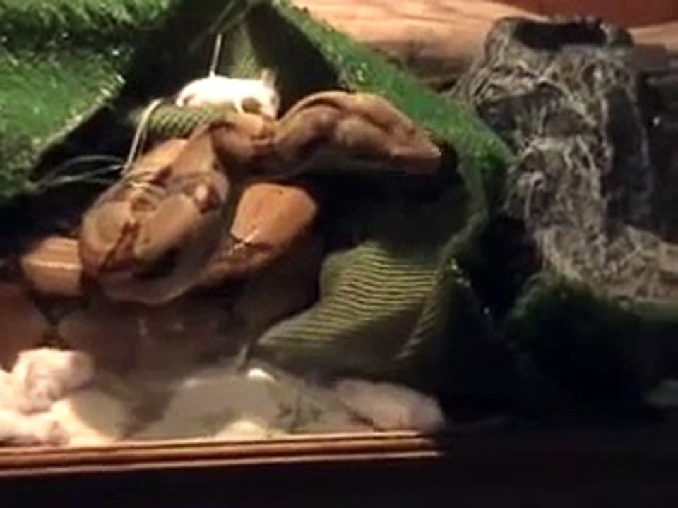 Sophie Eating Supper