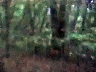michigan bigfoot sighting on film