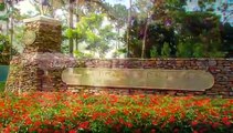 Florida Vacations - Disney's Saratoga Springs Resort & Spa - RCI Timeshares