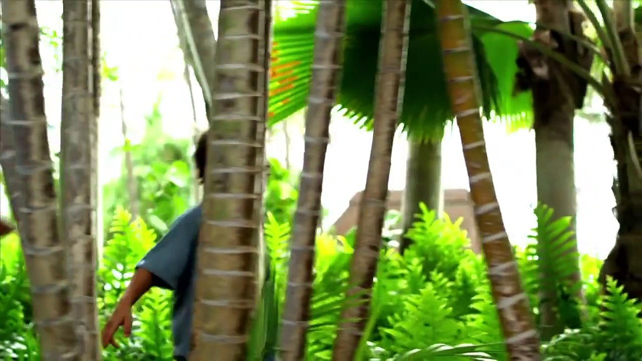 Aulani, A Disney Resort in Hawai'i