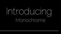 Animoto Video Style: Monochrome
