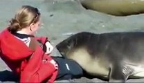 cuddling with a seal