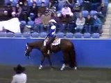 2009 NPHA $25000 Winderadeen 2yo Western Pleasure Futurity Final