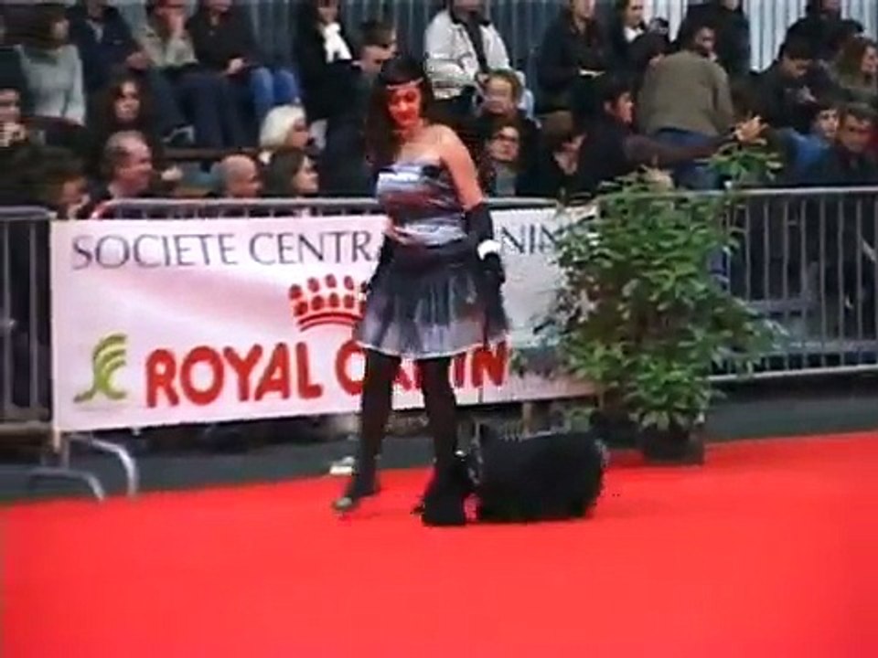 défilé Miss Dog Expo canine Toulouse 1/2