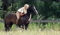 Metody Naturalne Pracy Z Końmi ( natural horsemanship )