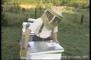 Honey Bees and Beekeeping 3.4: Migrating our hives