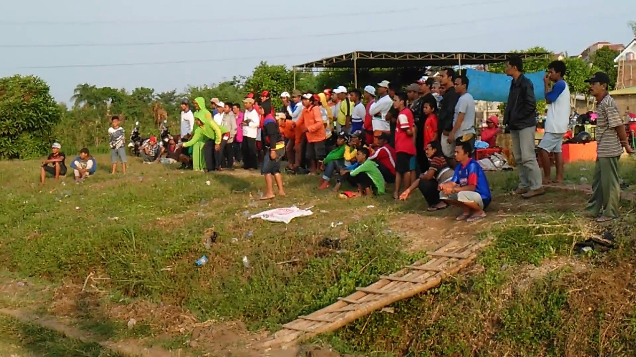 merpati balap lomba di DAU MALANG (TOTAL HADIAH 2 juta) 2