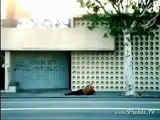 Reason why you should not drink