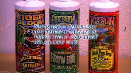 5 Gallons Bucket Hydroponic + Nutrients 101 From A to Z very easy