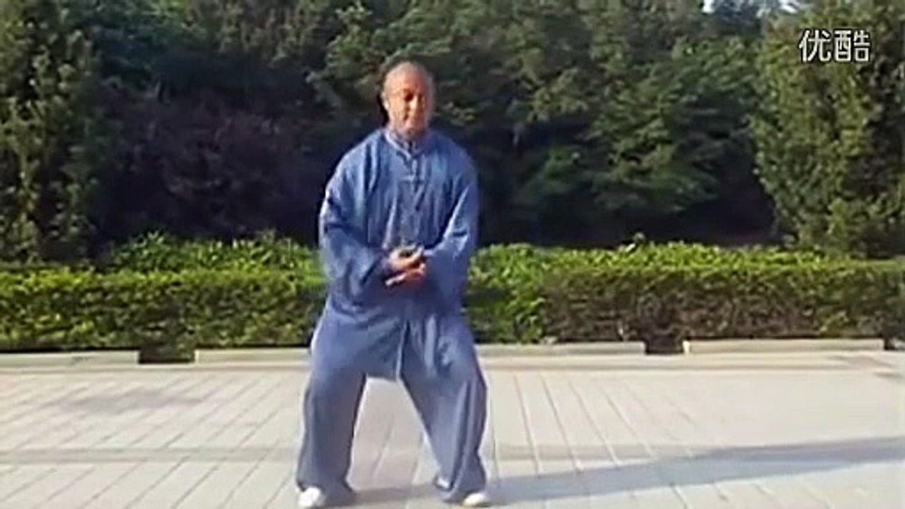 完美的 陈式太极拳老架一路　Once of the best Chen Style Old Form Tai Chi Quan