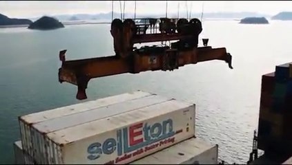 SelLEton Scales • Quality Scale Products with Better Pricing!