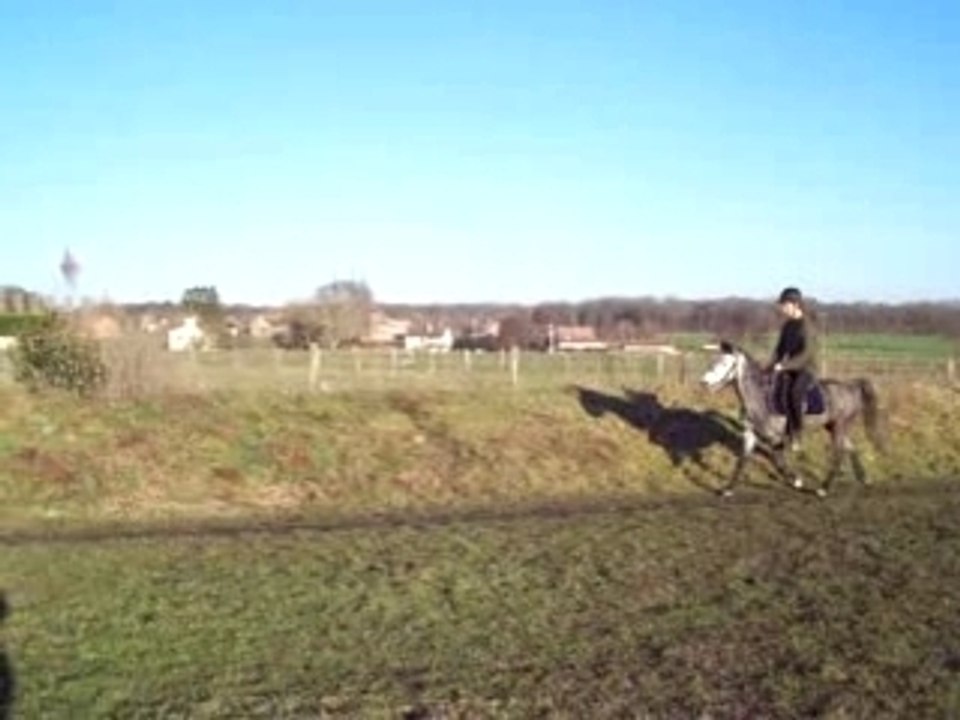 Pépite au trot