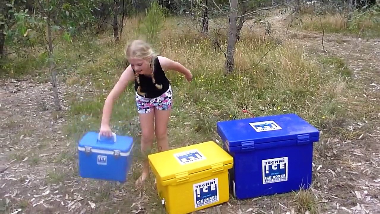 techni ice boxes