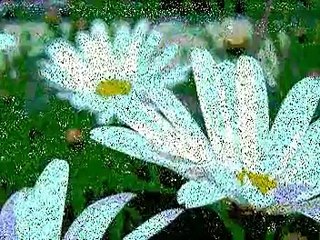 Milva - M'ama non m'ama