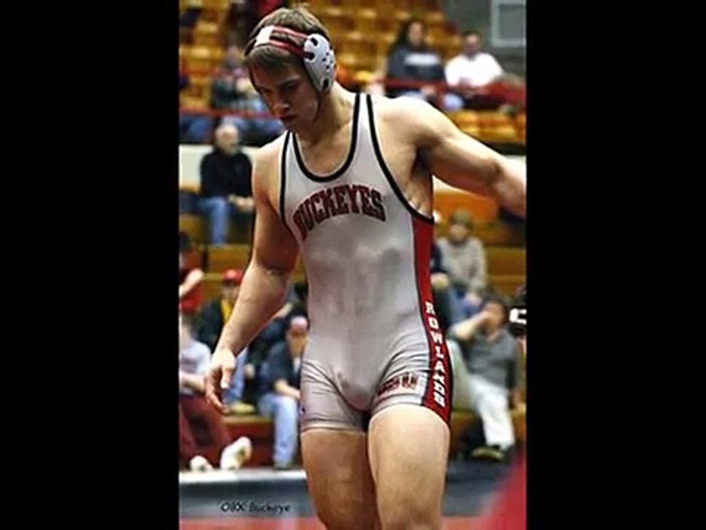 Wrestle Bulge